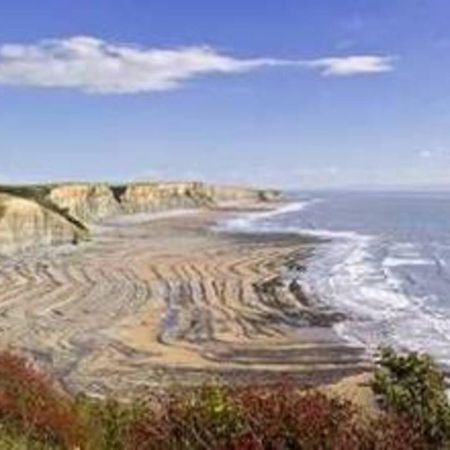 Gileston 1-Bed Cottage On Coastal Pathway In South Wales מראה חיצוני תמונה