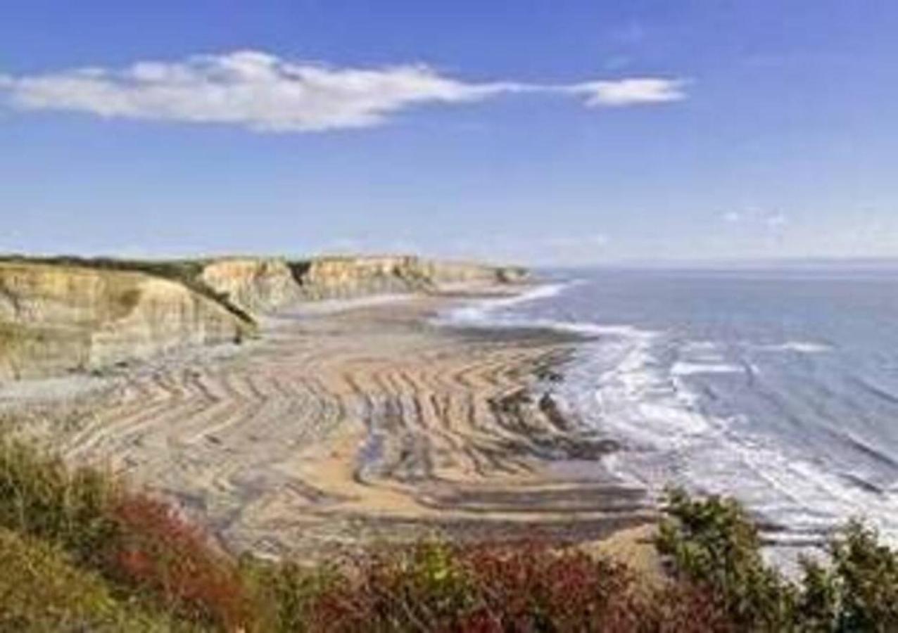 Gileston 1-Bed Cottage On Coastal Pathway In South Wales מראה חיצוני תמונה